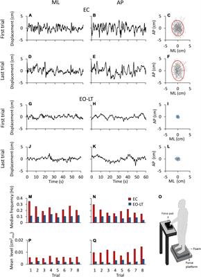 Balance Adaptation While Standing on a Compliant Base Depends on the Current Sensory Condition in Healthy Young Adults